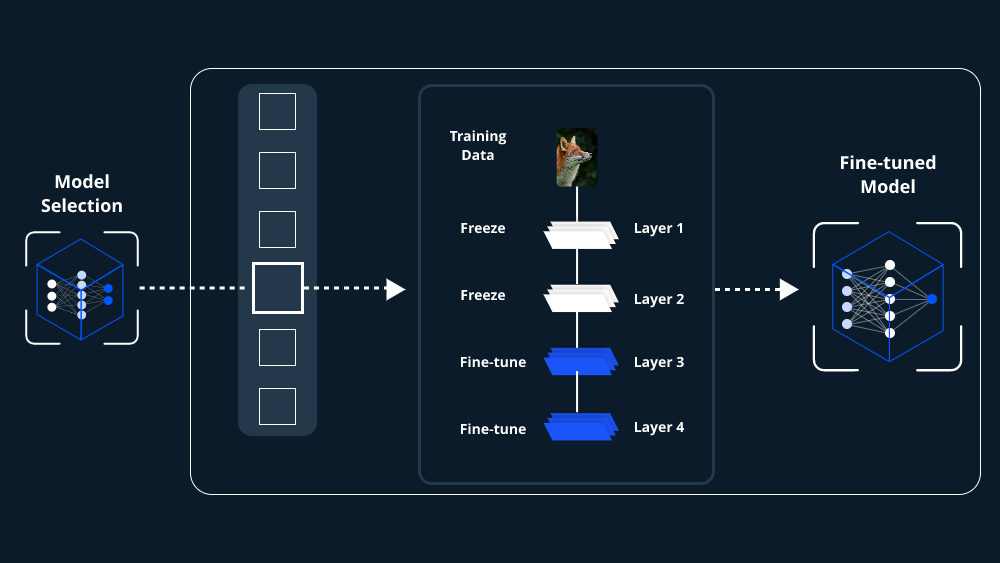 How To Fine Tune A Pre Trained Model For Generative Ai Applications 1817